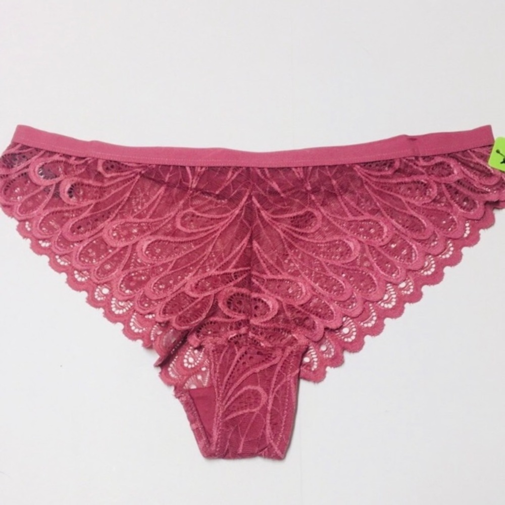 Sam Edelman 🌺 Lace Undies in Blush NWT
